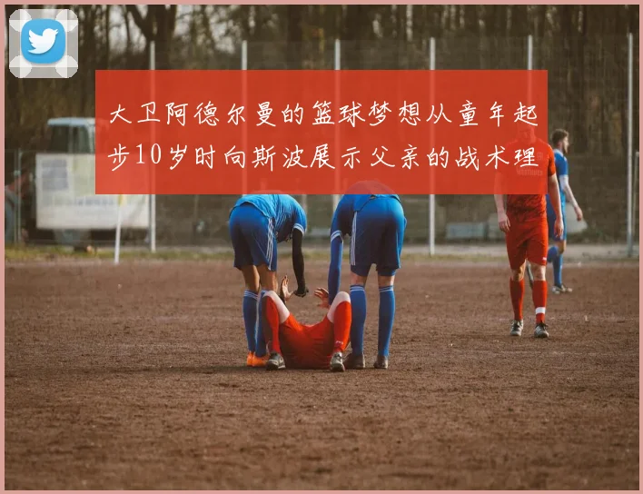 大卫阿德尔曼的篮球梦想从童年起步10岁时向斯波展示父亲的战术理念