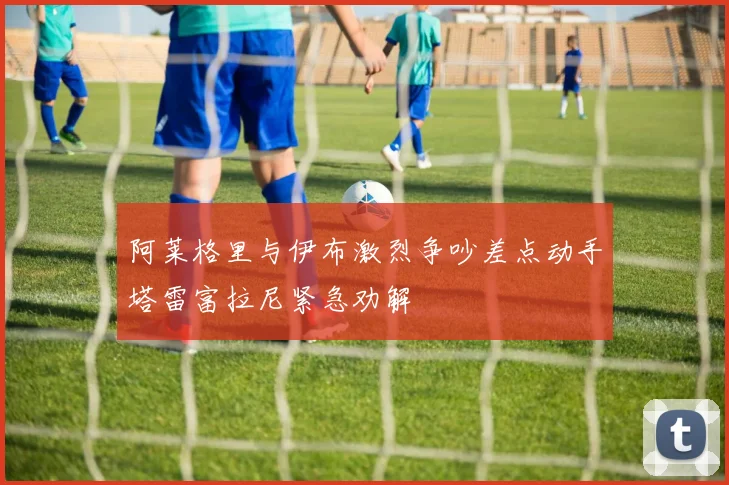 阿莱格里与伊布激烈争吵差点动手塔雷富拉尼紧急劝解