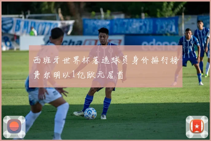 西班牙世界杯落选球员身价排行榜费尔明以1亿欧元居首